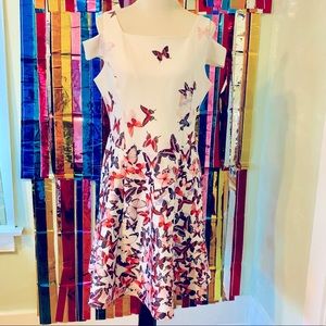 DKNY Butterfly Print White Dress
